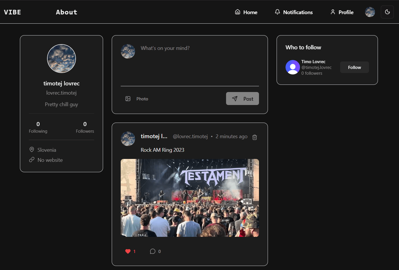 Vibe - social media platform